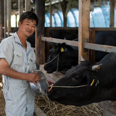令和6年産 茨城県産 常陸牛農家が育てたコシヒカリ 精米 無洗米 個包装300g(2合)×3袋