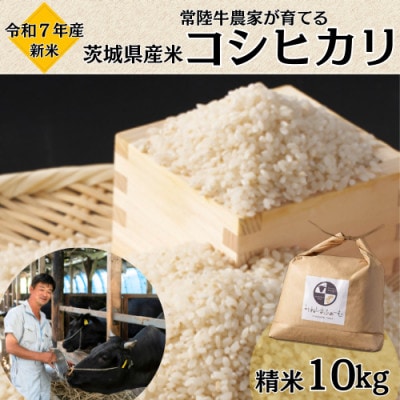 令和7年産 茨城県産 常陸牛農家が育てる コシヒカリ 精米 10kg