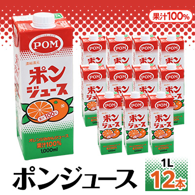 えひめ飲料　ポンジュース1L×12本