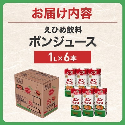 えひめ飲料　ポンジュース1L×6本