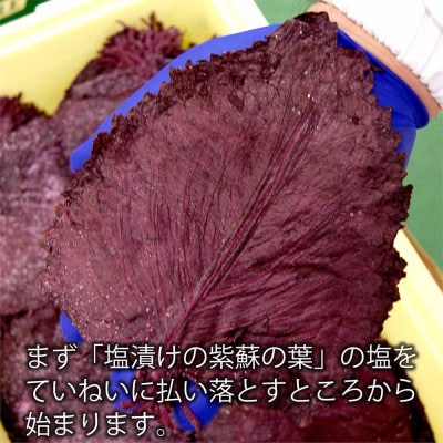 亀印製菓の「水戸の梅」28個入り