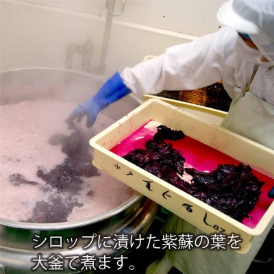 亀印製菓の「水戸の梅」28個入り