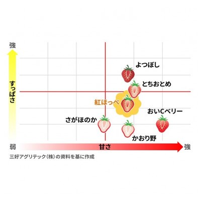 TGファームの朝摘みいちごの食べ比べ「よつぼし・紅ほっぺ」