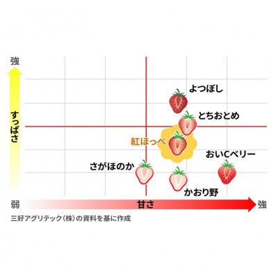 TGファームの朝摘みいちご「紅ほっぺ」