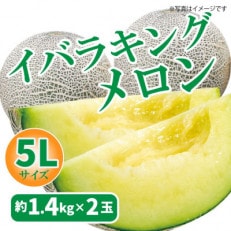 茨城県JAほこたのイバラキングメロン5Lサイズ・2玉入