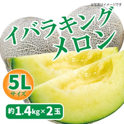 茨城県JAほこたのイバラキングメロン5Lサイズ・2玉入
