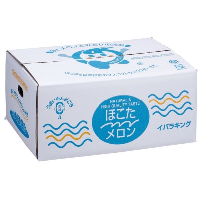 茨城県JAほこたのイバラキングメロン5Lサイズ・2玉入