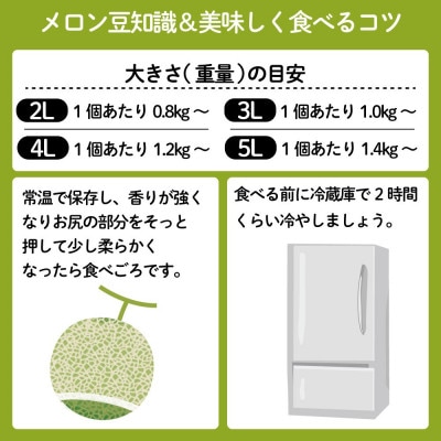 茨城県JAほこたのイバラキングメロン5Lサイズ・2玉入