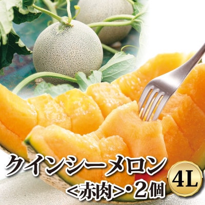 山一ファームのクインシーメロン　4L2個