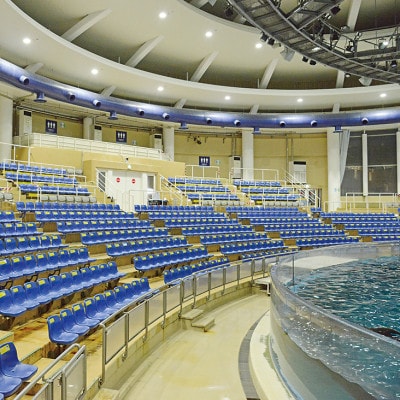 アクアワールド茨城県大洗水族館　貸切1時間プラン(オーシャンホールにイルカが遊びに来る)