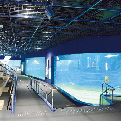 アクアワールド茨城県大洗水族館　貸切1時間プラン(オーシャンホールにイルカが遊びに来る)