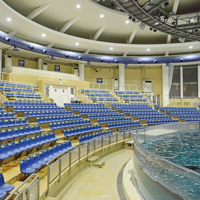 アクアワールド茨城県大洗水族館　貸切3時間プラン(イルカ・アシカオーシャンライブ付)