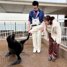 アクアワールド茨城県大洗水族館 飼育員体験ツアー