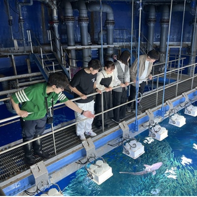 【ふるさと納税限定】アクアワールド茨城県大洗水族館　飼育員体験ツアー