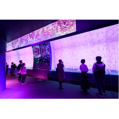 【ふるさと納税限定】アクアワールド茨城県大洗水族館　飼育員体験ツアー