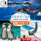 アクアワールド茨城県大洗水族館　年間パスポート(大人1名・幼児1名分)