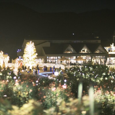 【ペア】特別ディナープラン プライベート ローズダイニング「Starry Bloom Dinner」