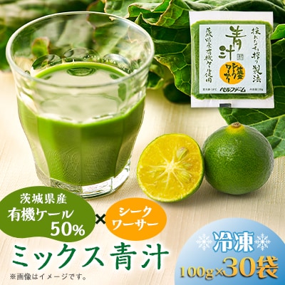 ベルファームの冷凍ミックス青汁 茨城県産ケール使用 100g×30袋 【離島・沖縄配送不可】