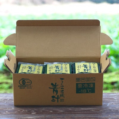 ベルファームの冷凍プレミアム有機青汁 茨城県産ケール100% 100g×30袋【離島・沖縄配送不可】