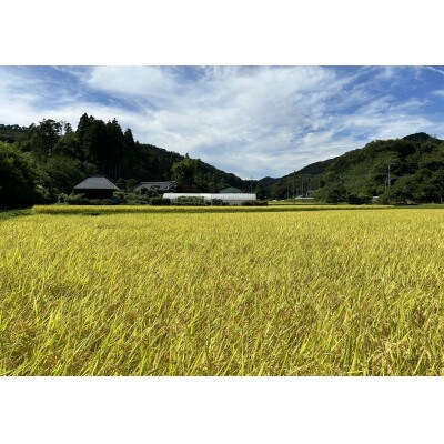 令和5年産 【特別栽培米】「コシヒカリ」&「ゆうだい21」精米セット4kg(2kg×2袋)