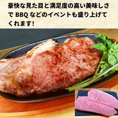 【常陸牛】A5等級 サーロインブロック 10kg