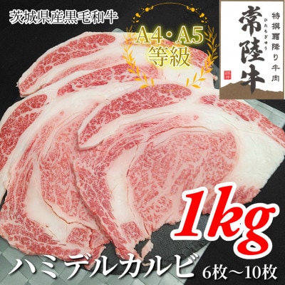 【常陸牛】ハミデルカルビ 1kg(6～10枚)