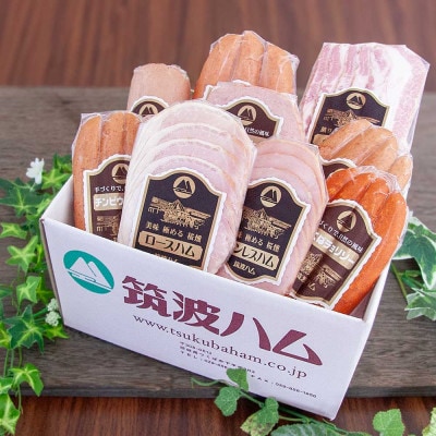 筑波ハム ハム・ベーコン・ソーセージ バラエティ9品 茨城県産 常陸の輝き ブランド豚 銘柄豚