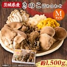 きのこの詰め合わせ　M(約1500g)