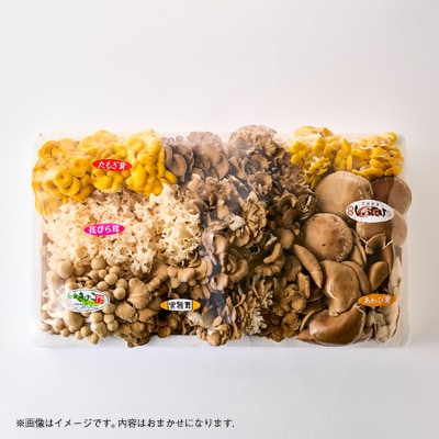 茨城県城里町産 きのこの詰め合わせ Lサイズ 約2kg