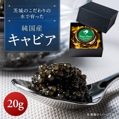 【先行予約】純国産キャビアVoeu-Pence　20g×1個