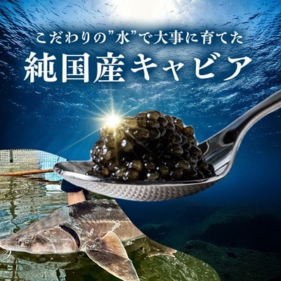 霞ヶ浦キャビア 20g