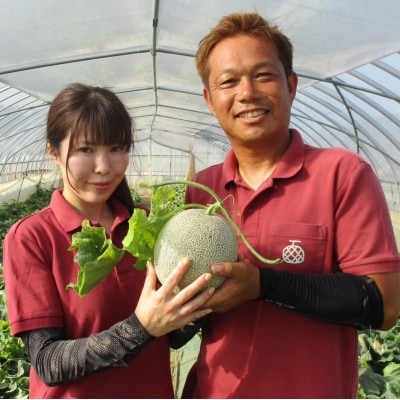 茨城県オリジナルメロン「イバラキング」【アンテナ付き2玉・化粧箱入り】