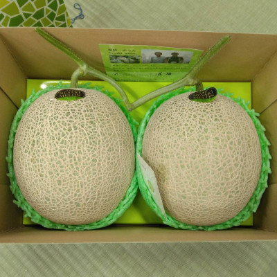 茨城県オリジナルメロン「イバラキング」【アンテナ付き2玉・化粧箱入り】