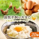 天馬夢のハッピーエッグ 20個