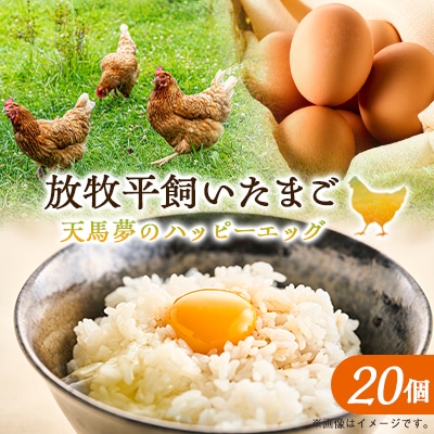 天馬夢のハッピーエッグ 20個