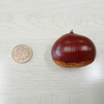 万羊羹飯沼MEIMEI 1箱(45g×3個入り)