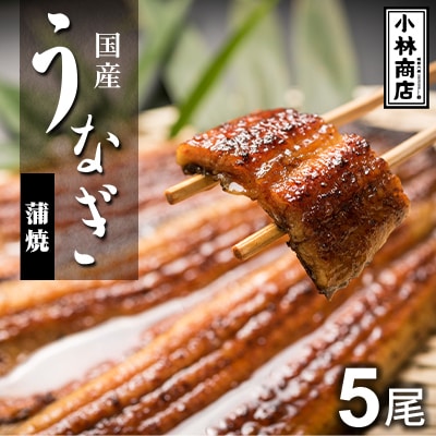 うなぎの六三 こばやし商店 国産 蒲焼うなぎ 約135g×5尾 自家製たれ5個付 木箱入