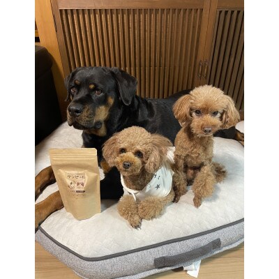 茨城県産ほしいもの未利用部分を使用したワンちゃんのための無添加おやつ(90g×2袋)