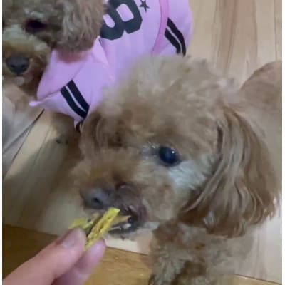 茨城県産ほしいもの未利用部分を使用した犬の無添加おやつ(フレークタイプ90g×4袋)