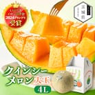 【先行受付】令和8年4月順次発送 茨城県鉾田市 山一ファーム クインシーメロン 大玉4L～5L・1玉