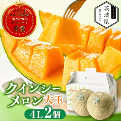 【先行受付】令和9年5月順次発送 茨城県鉾田市 山一ファーム クインシーメロン 大玉4L～5L・2玉