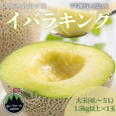 【先行受付】令和8年5月順次発送 茨城県オリジナル品種!! イバラキング 4L～5L・1玉 数量限定