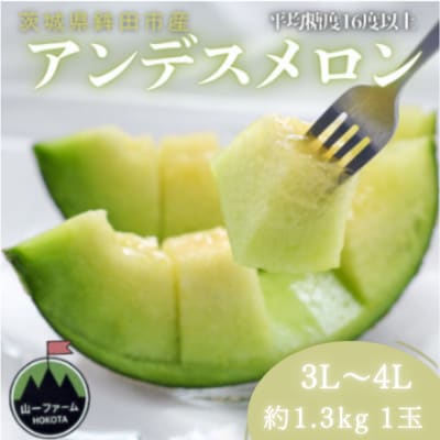 【先行受付】令和9年4月より順次発送 茨城県鉾田市 山一ファーム アンデスメロン 3L～4L・1玉