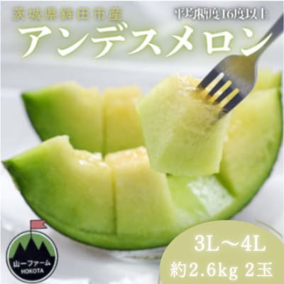 【先行受付】令和9年4月より順次発送 茨城県鉾田市 山一ファーム アンデスメロン 3L～4L・2玉
