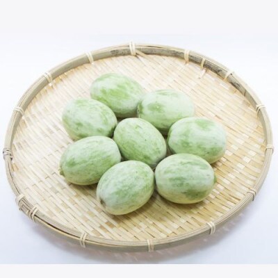 【加工用】茨城県鉾田市産 摘果メロン(子メロン)約5kg