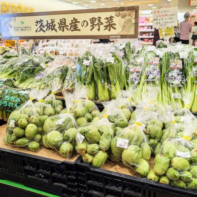 【加工用】茨城県鉾田市産 摘果メロン(子メロン)約5kg
