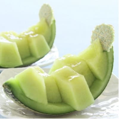 【生産量日本一】茨城県産 アールスメロン【特秀】1玉