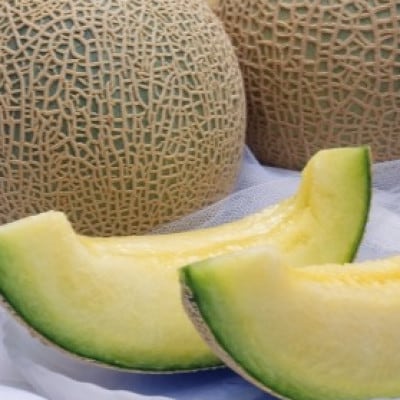 【令和5年 品質優良賞受賞】メロンの王様!イバラキング【特秀】2玉