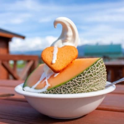 【令和5年 品質優良賞受賞】茨城県旭村産クインシーメロン(赤肉) 特秀2玉