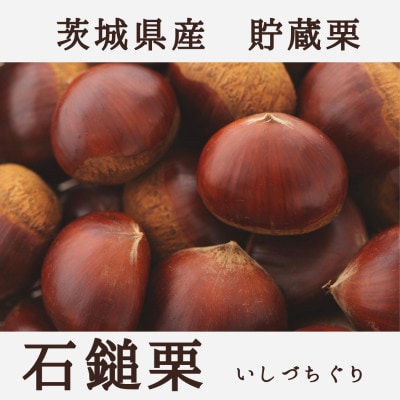 栗ご飯にぴったり!茨城県産 貯蔵 石鎚栗 約2kg(約1kg×2袋)
